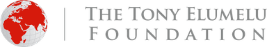 Tony Elumelu Foundation